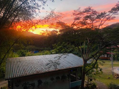 Bamboo River House and Hotel