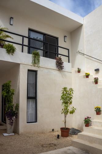 Casa Cedro San Sebastian in Mérida, Mexico