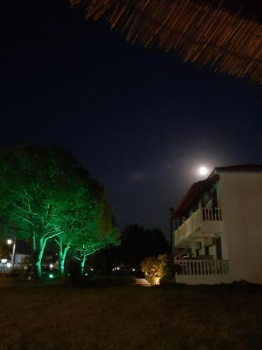 Babis Studios, Kalamaki (fotografie 8)