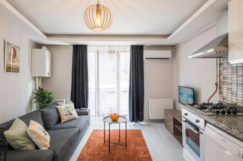 Superior One Bedroom Apartment near Galataport 3