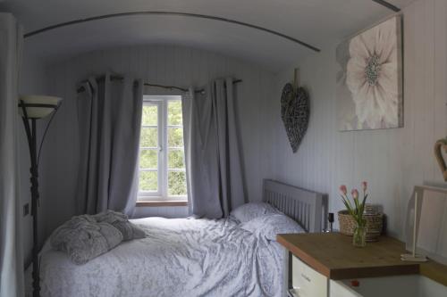 Nefoedd Romantic Shepherds Hut