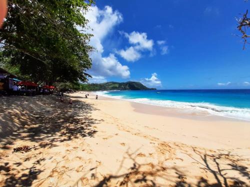 Guesthouse The 4 Fish