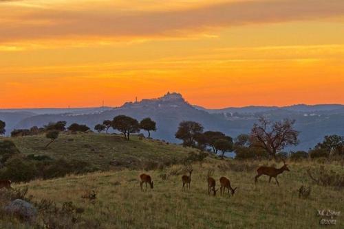 Alojamiento Rural Dehesa La Estancia