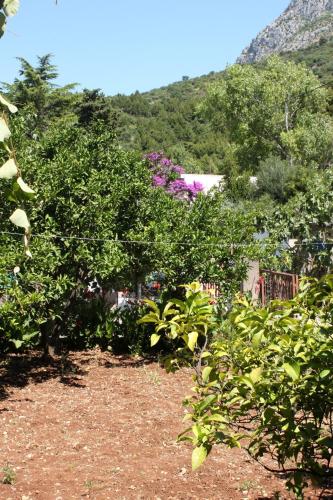 Apartments by the sea Podaca Makarska - 6821 - image 4