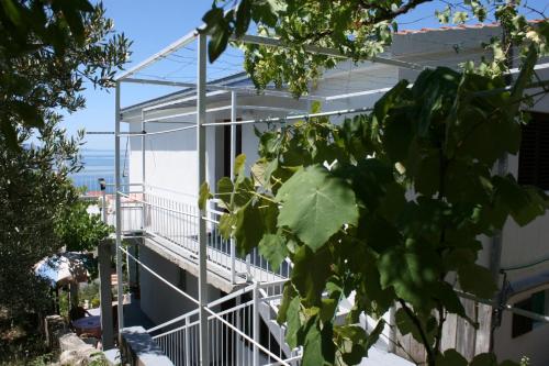  Apartments with a parking space Podaca, Makarska - 6798 in Podaca