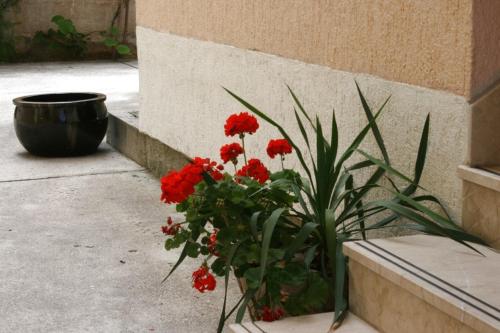 Apartments and rooms with parking space Baska Voda Makarska - 6704 - image 8