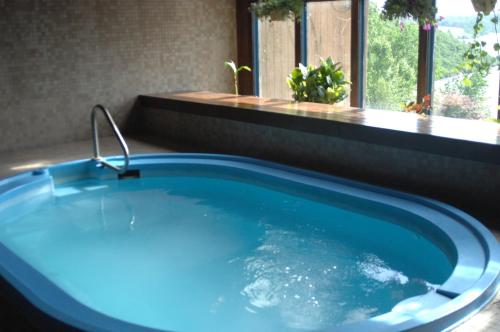 Inn at Grand Glaize - 온수 욕조