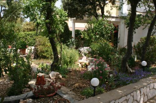 Apartment Mandre 6456b - image 7