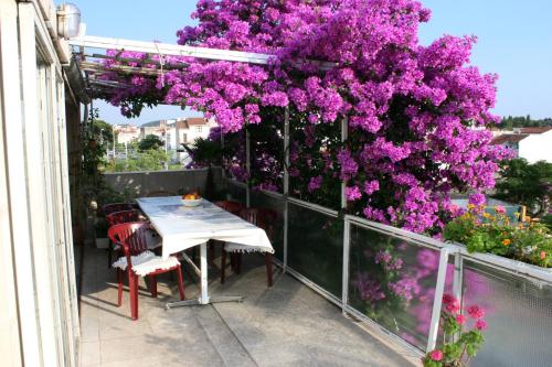 Apartments and rooms with parking space Makarska - 6644 - image 7
