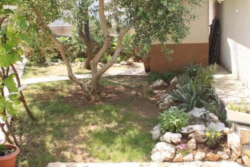 Apartments with a parking space Povljana Pag - 6501 - image 14