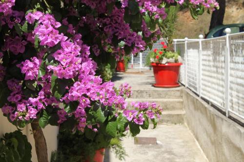 Apartments with a parking space Podgora Makarska - 6847 - image 7