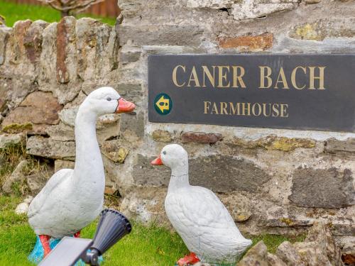 Caner Bach Lodge Bridgend - image 2