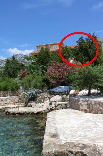 Apartments by the sea Starigrad, Paklenica - 6592 - Location saisonnière - Starigrad-Paklenica