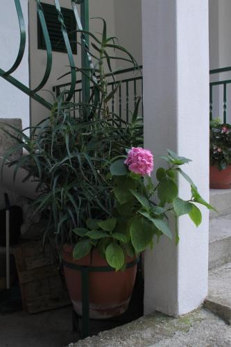 Apartments by the sea Podgora Makarska - 6672 - image 7