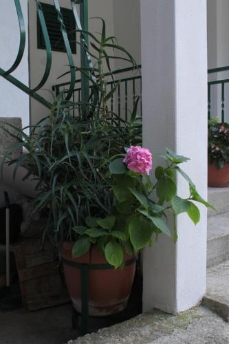 Apartments by the sea Podgora Makarska - 6673 - image 8