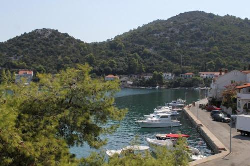 Apartments by the sea Zaklopatica Lastovo - 8340 - image 8