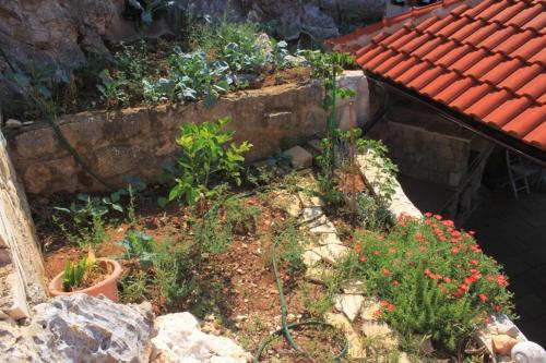 Seaside holiday house Lucica Lastovo - 8348 - image 7