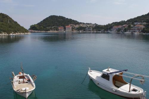 Apartments by the sea Zaklopatica Lastovo - 8357 - image 9