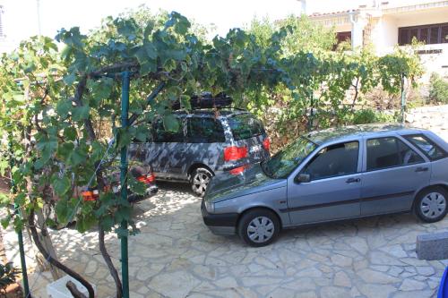 Apartments by the sea Zdrelac Pasman - 8406 - image 5