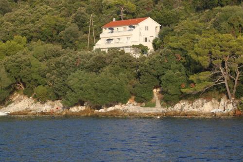 Apartments by the sea Ubli, Lastovo - 8355 - Ubli