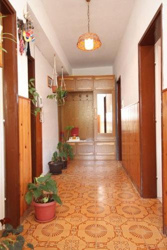 Apartment Sali 8174a - image 2