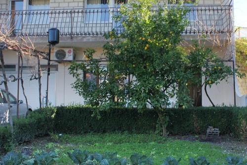 Apartments by the sea Kastel Stafilic - Kastela - 8621 - image 2
