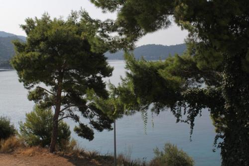 Apartments by the sea Pasadur Lastovo - 8388 - image 13