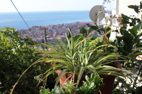 Apartments with WiFi Dubrovnik - 8554 - image 7