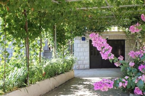 Apartments with a parking space Povlja Brac - 8628 - image 3