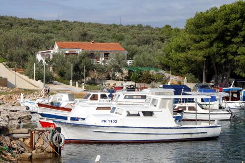  Apartments by the sea Cove Mala Lamjana, Ugljan - 8449 in Kali