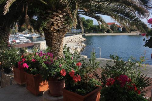 Apartments by the sea Poljana Ugljan - 8450 - image 3