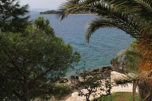 Apartments by the sea Zdrelac Pasman - 8405 - image 5