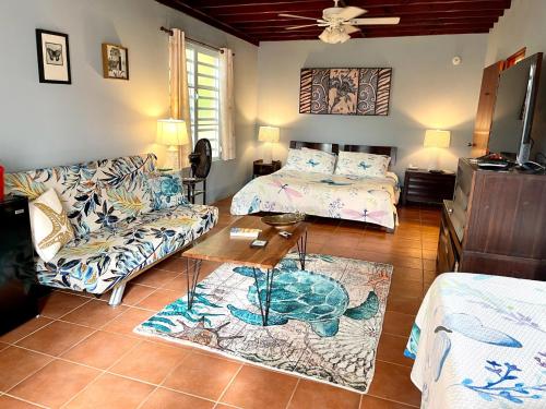 Esperanza Inn Guesthouse in Vieques Island