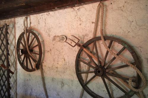 Apartments by the sea Dubrovnik - 8552 - image 6