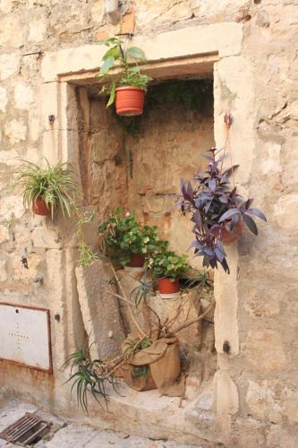 Apartments by the sea Dubrovnik - 8546 - image 7