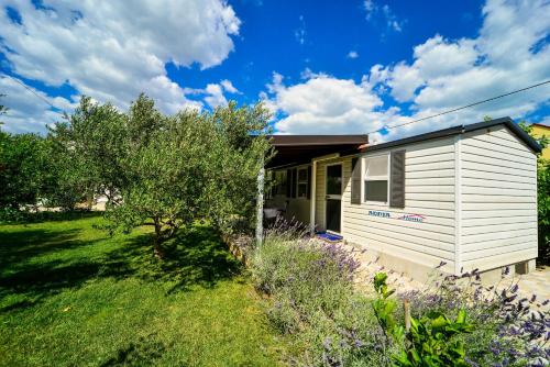Family friendly apartments with a swimming pool Biograd na Moru Biograd - 8371 - image 9