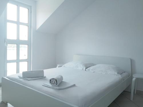Apartments and rooms by the sea Slano Dubrovnik - 8737 - image 6