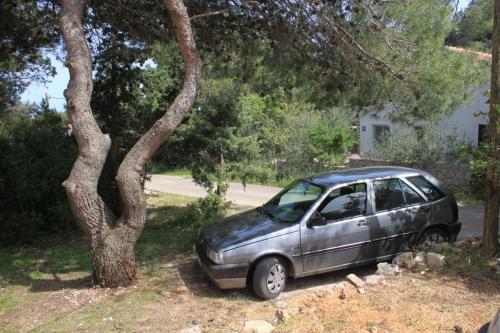 Holiday house with a swimming pool Basina Hvar - 8731 - image 8