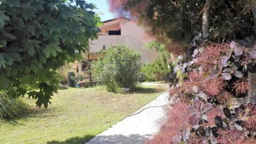 Apartments with parking space Barbariga Fazana - 11193 - image 3