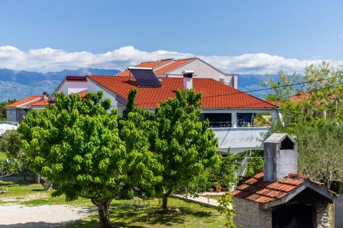 Apartments with parking space Nin, Zadar - 10414