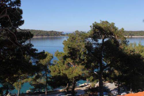 One-Bedroom Apartment with Terrace and Sea View image 7