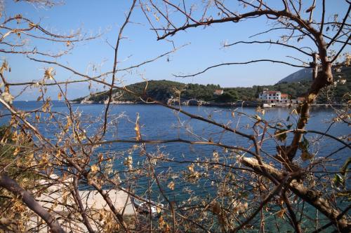 Apartments by the sea Cove Pokrivenik, Hvar - 10427