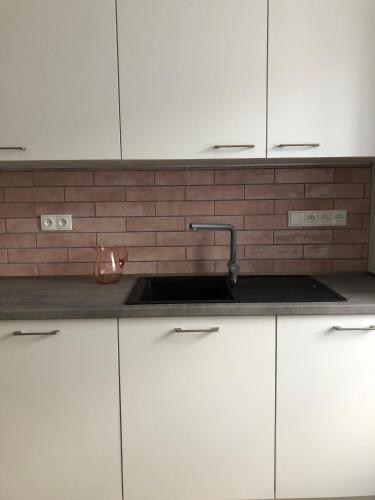 ห้องครัว, Art Apartment Telč (Art Apartment Telc) in โปโดลี