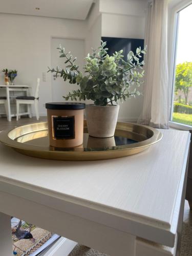 Ferienwohnung Allenberg-Panorama in Siedlinghausen