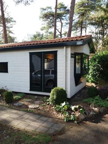 Chalet De Eekhoorn in Diever