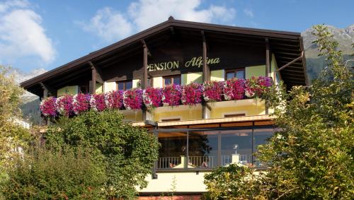 Café Pension Alpina - image 4