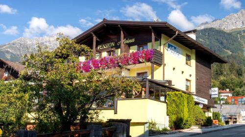 Café Pension Alpina - image 3