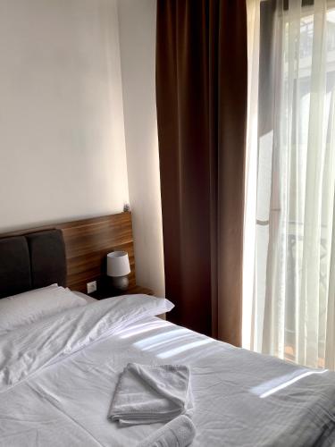 Apartman Milosavljevic-President Kop - image 3