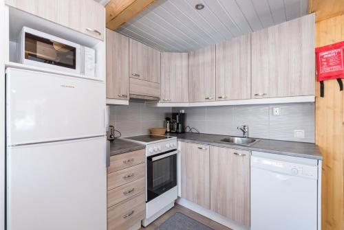 Onnela 2 - Chalet, Ruka (fotografie 3)
