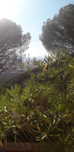  Appartamento Poggio Biondo in Buriano